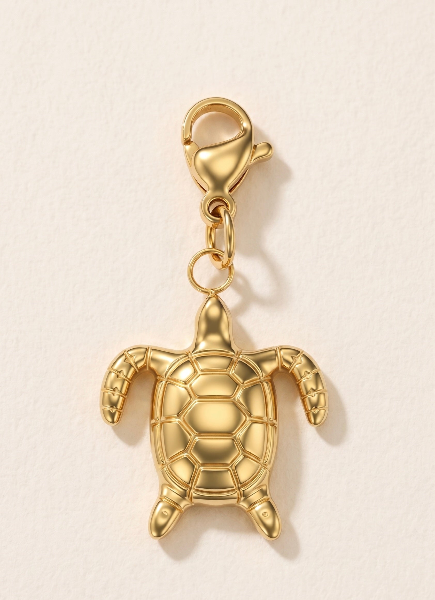 Charm tortue